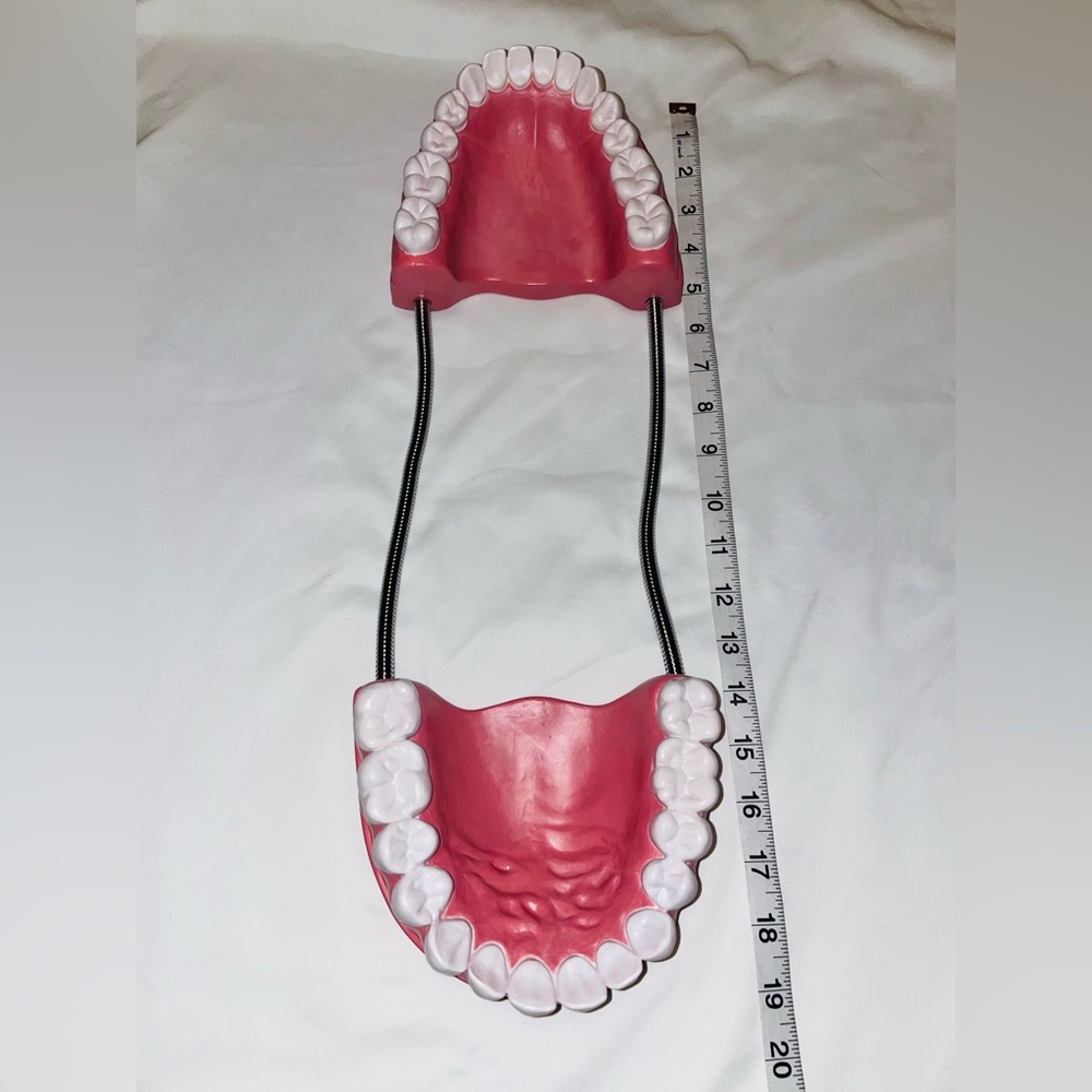 Dental Care Model